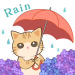 しとしと梅雨にゃんこ