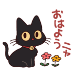 黒猫⭐ベルの日常2