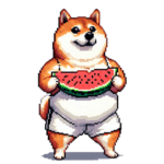 夏休みをたのしむ ふとっちょ柴犬