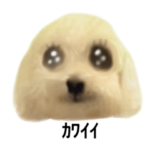 態度が改善された犬