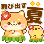 飛び出す♡豆柴-夏-日和