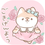 お嬢様っぽい犬