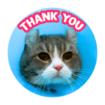 そり耳猫もすけファミリー①