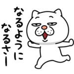 ウザ～～い猫★ポジティブ