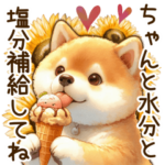 癒しの柴犬の日常