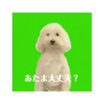 痺れを切らして動きだした犬