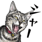 意外と使えるリアルシャー猫