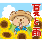 トイプーのぷう太郎 夏と雨