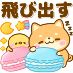 豆柴日和♡sweets