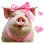 リアル☆メスブタ 2