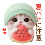 かわいいスコティッシュ猫とスイカ 気遣い