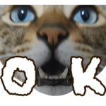 猫のすたんぷ。。。ドアップ編