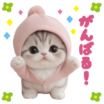 スコティッシュ猫 可愛い＆思いやり日常