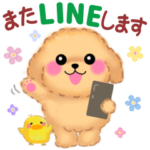 ずーっと使える❤️かわいいトイプードル