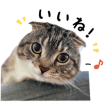 りっちゃんたちのスタンプ