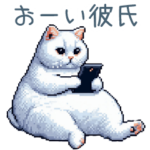 連絡用ネコ彼女