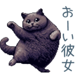 連絡用ネコ彼氏