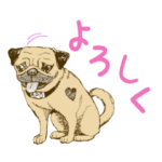 宇宙兄弟　アポのパグパグあいづちスタンプ