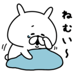 ゆるうさぎの１日。