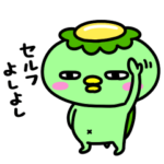 かっぱのセンチメンタル