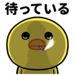 毎日使うよヒヨコ