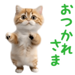 踊る！ダンス猫３