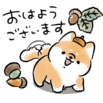 ほんわかしばいぬ<2024秋>