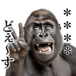 リアルゴリラ★カスタム