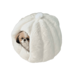 小籠包ハウスに住む犬