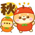 飛び出す♡豆柴秋日和