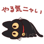 黒猫⭐ベルの日常
