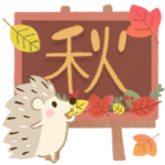 大人の気遣い♡31秋ふわり