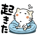 でか文字にゃ吉