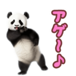 踊る♪パンダ