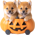 BIGな秋わんこ♡