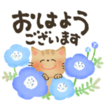 毎日つかえる♡にっこり猫と前向き幸せ言葉