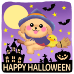 かわいいトイプードル❤️秋 2