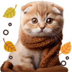 ねこさん♡毎日使える