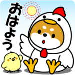 飛び出す！豆柴の日常スタンプ