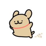 Baby Golden retriever 2