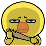 The life of a mean-looking chick