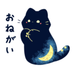 輝くクロねこ２