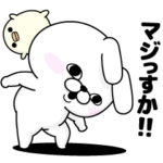 うさぎ１００％っす