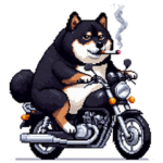 グレる太っちょ黒柴