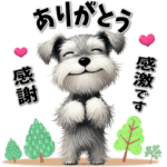 毎日シュナウザー