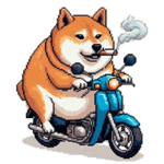 まだまだグレる太っちょ柴犬