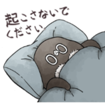 虚無かわいいアデリーペンギン３