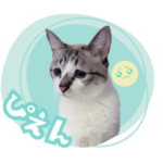 ぴえん猫ミントの使いやすいスタンプ