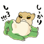 カエル動くスタンプ詰め合わせ