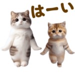 踊る！ネコたち！にゃんだふる～